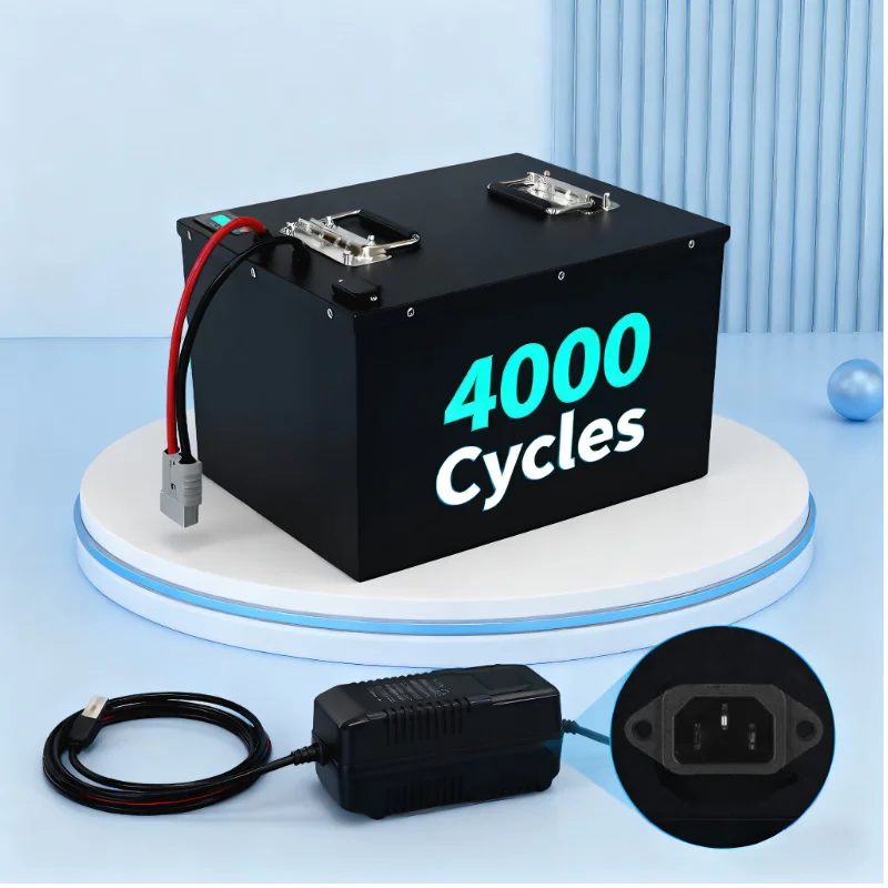 Batterie LIFEPO4 avec BMS 72V  - Lifepo4 72V 100Ah Battery Pack Ev avis et prix